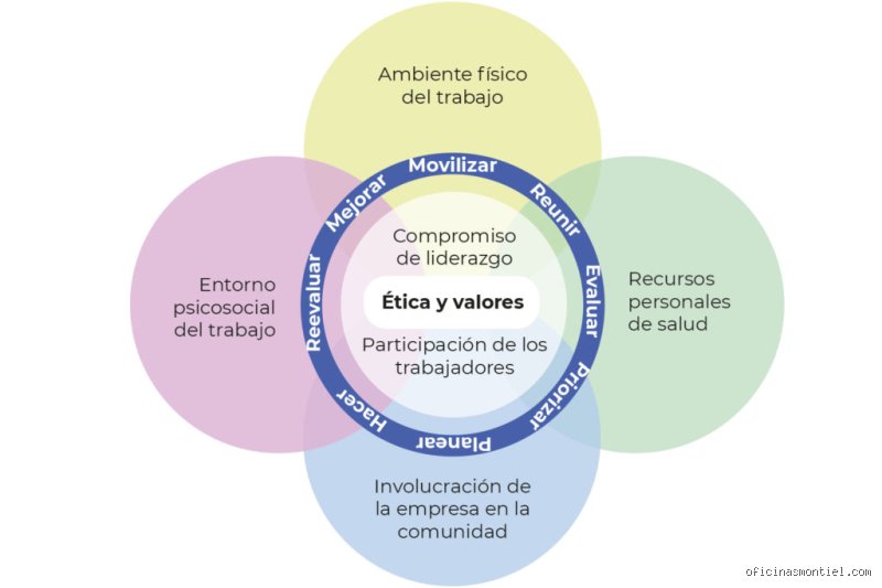 ¿Cuáles son los 5 elementos de un entorno saludable?