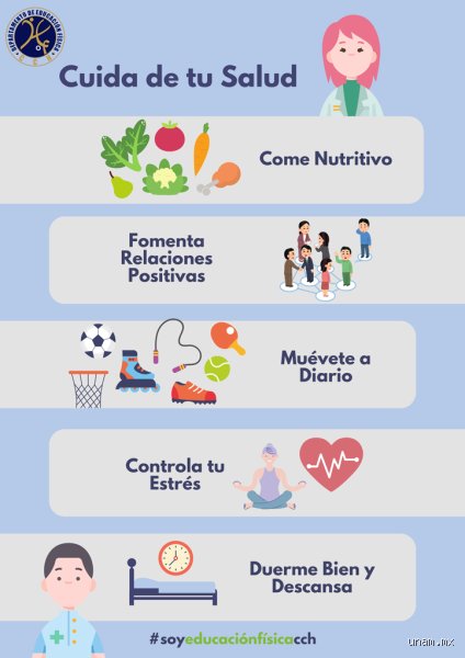 ¿Cuáles son los 5 elementos principales de un estilo de vida saludable?