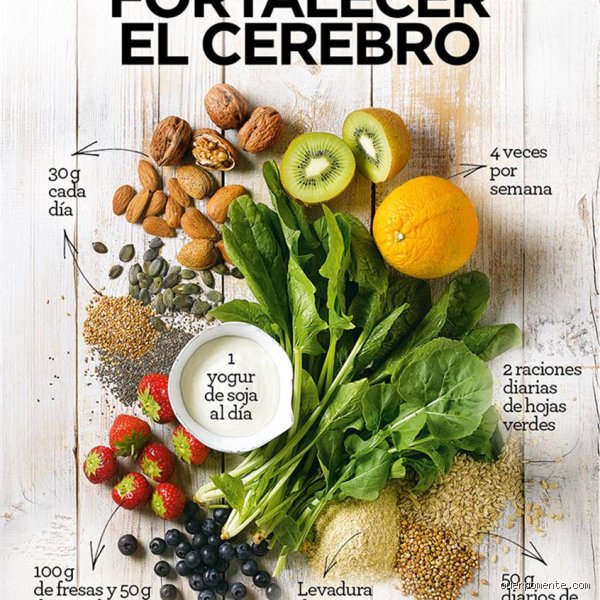 ¿Cuáles son los 7 mejores alimentos para el cerebro?