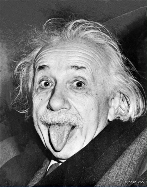 ¿Cuántos huevos comía Einstein al día?