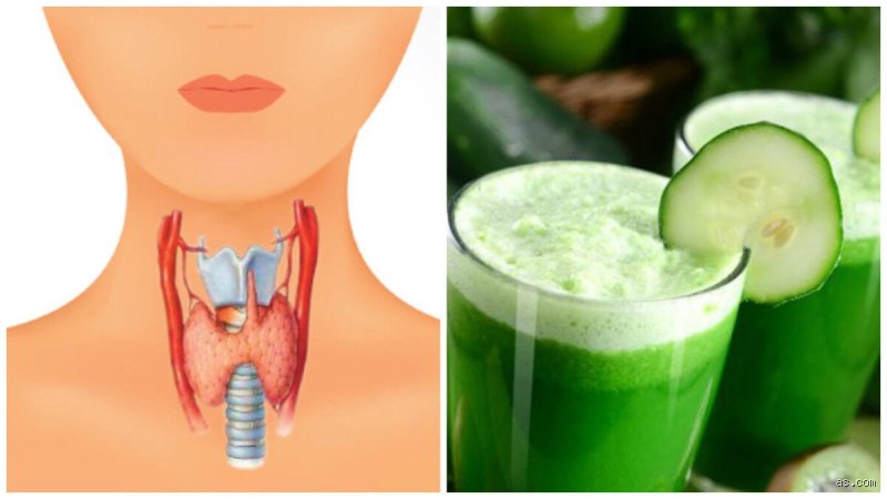 ¿El pepino es bueno para la tiroides?