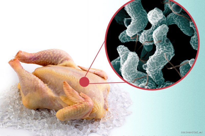 ¿El pollo es bueno para los pulmones?