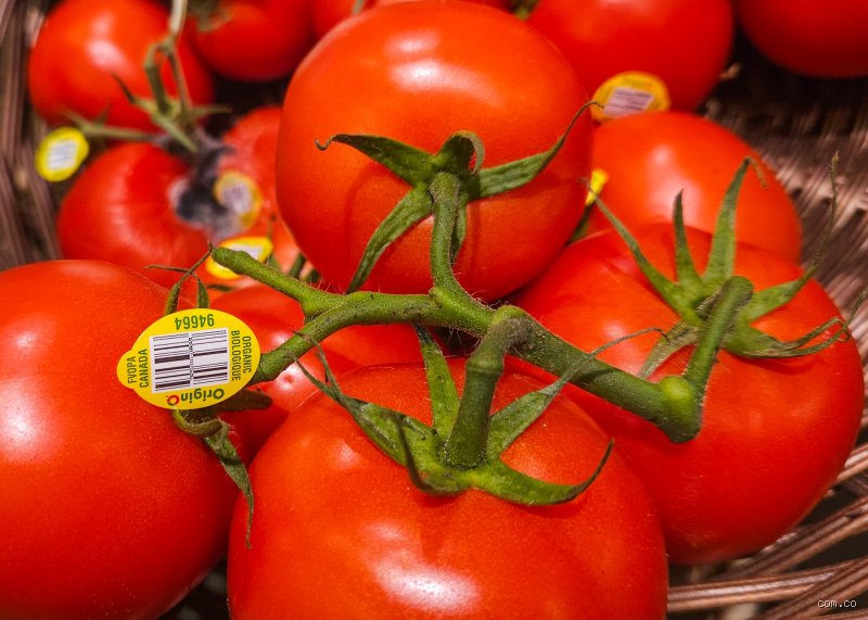 ¿El tomate es bueno para la tiroides?