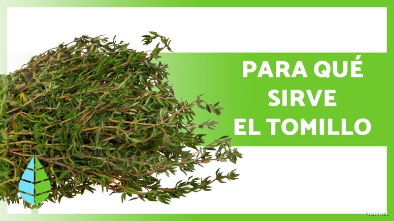 ¿El tomillo sube la tensión?