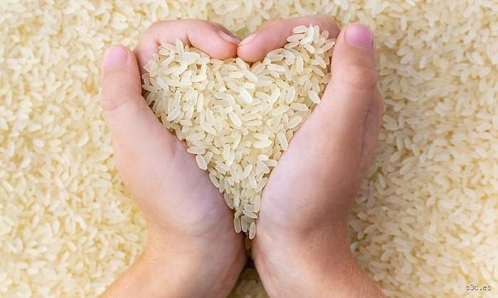 ¿Es bueno comer arroz todos los días?
