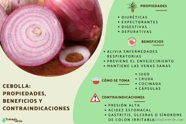 ¿La cebolla es buena para la tiroides?