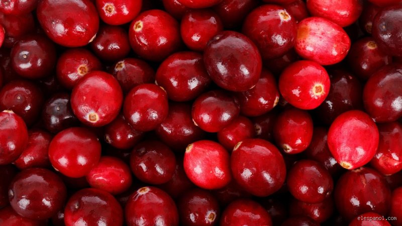 ¿Son los arándanos un antibiótico natural?