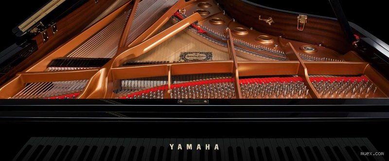 ¿Cómo se llama el mejor piano del mundo?