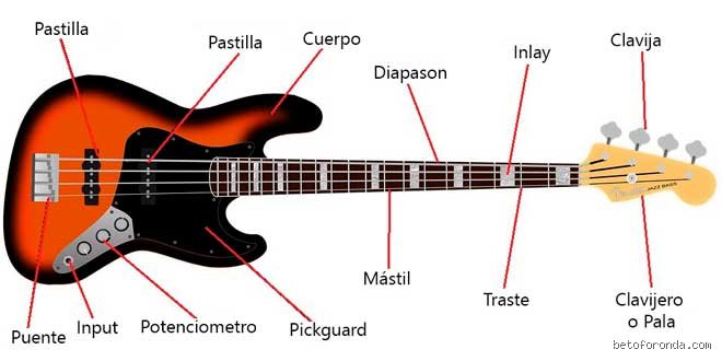¿Cuánto tiempo tardas en aprender a tocar el bajo?