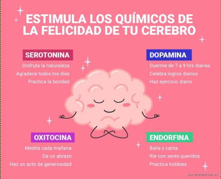 ¿Cómo activar las 4 hormonas de la felicidad?