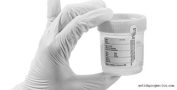 ¿Cómo limpio mi orina para un examen de drogas?
