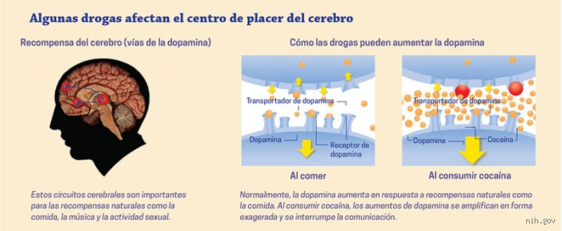 ¿Cómo se genera una adicción en el cerebro?