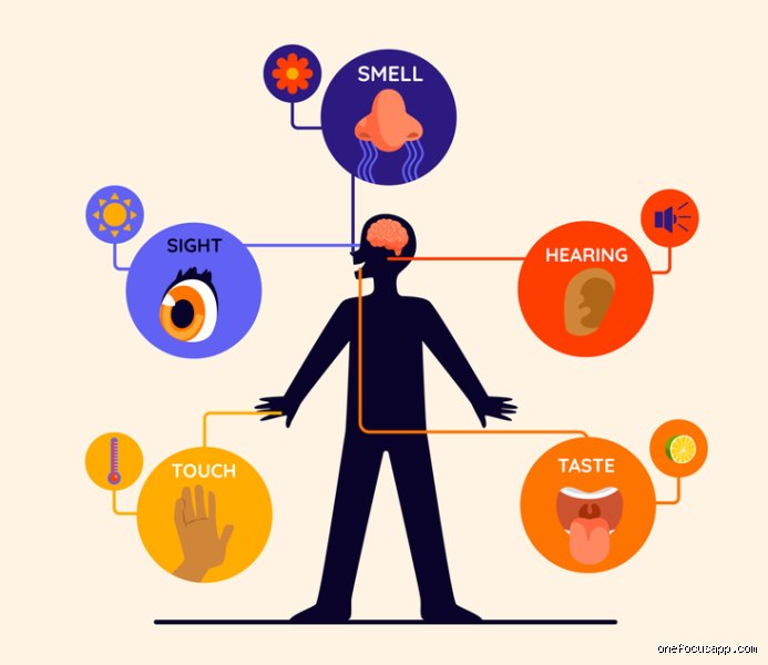 ¿Cuales son las 5 cosas que puedes ver en la ansiedad?