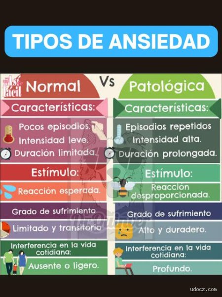 ¿Cuáles son los 4 niveles de ansiedad?