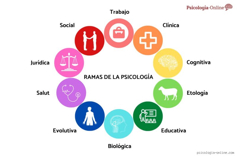 ¿Cuáles son los 7 tipos de psicología?