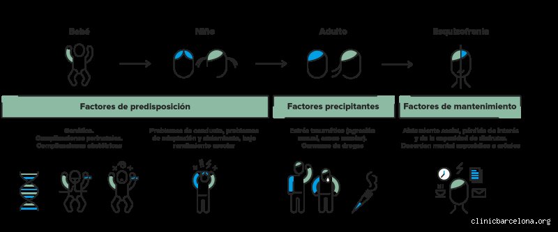 ¿Puede una persona tener esquizofrenia leve?