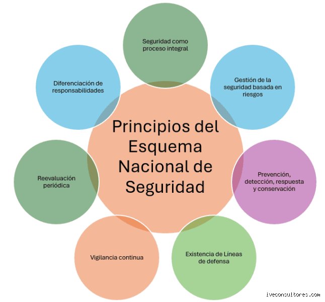 ¿Cuáles son los 5 principios básicos de seguridad?