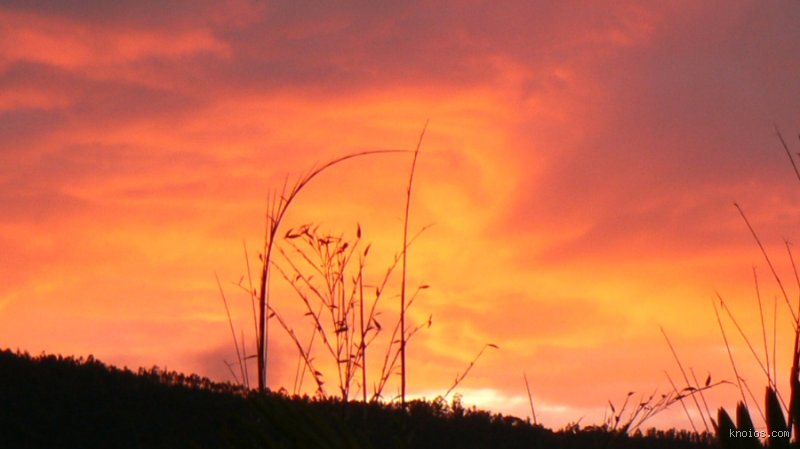 ¿Alborada significado espiritual?