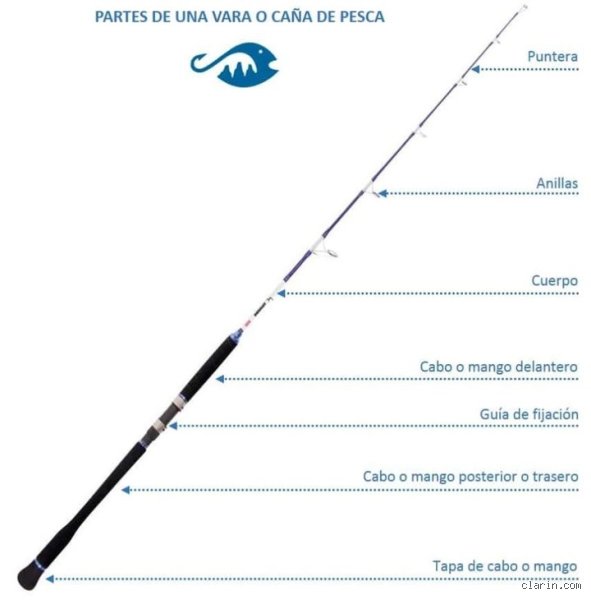 ¿Cómo se llama el gancho de una caña de pescar?