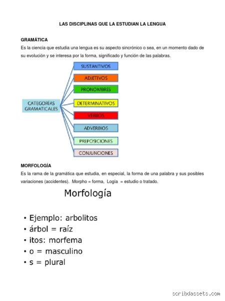 ¿Cuál es la disciplina que estudia la lengua?