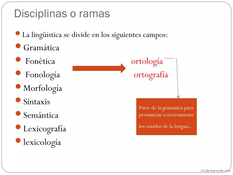 ¿Cuáles son las 4 ramas del lenguaje?