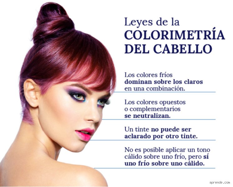 ¿Cuáles son las 4 reglas de la colorimetria?