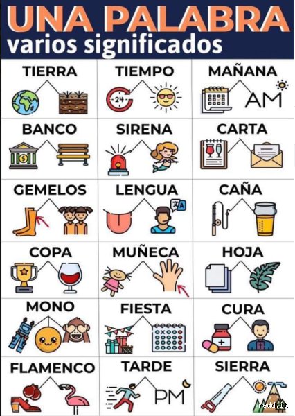 ¿Cuáles son las palabras que tienen un significado más parecido?