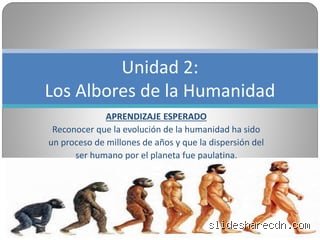 ¿Qué es el albore?
