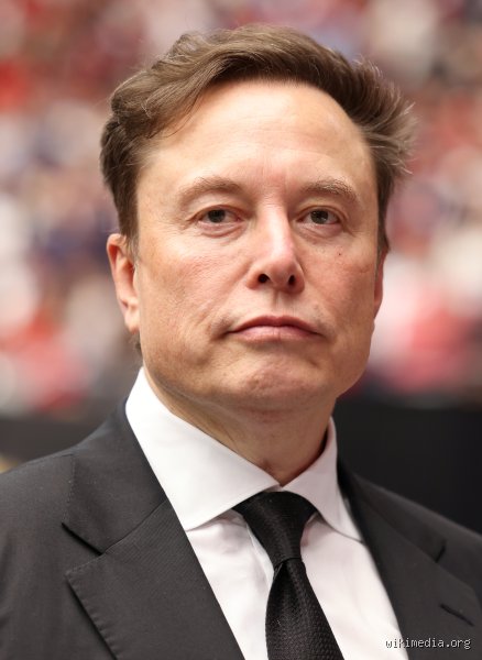 ¿Qué significa Elon Musk en español?