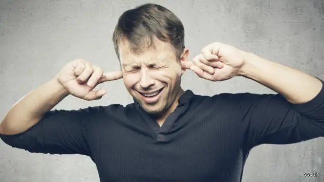 ¿Cómo se llama el ruido que molesta?