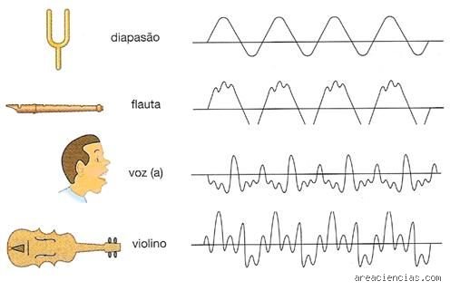 ¿Cuál es la física del sonido y las ondas?