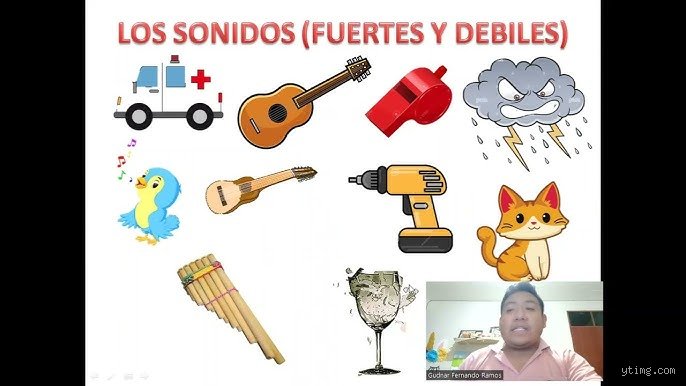 ¿Cuáles son algunos ejemplos de sonidos de clase 8?