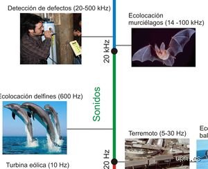 ¿Cuáles son las aplicaciones del sonido en la vida real?