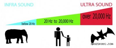 ¿El ser humano percibe sonidos que están en frecuencias entre 20 Hz y 20.000 Hz?