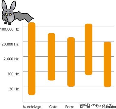 ¿Pueden los adultos oír 20.000 Hz?