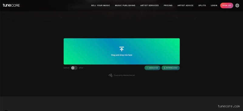 ¿Es bueno conseguir 1000 reproducciones en un mes?