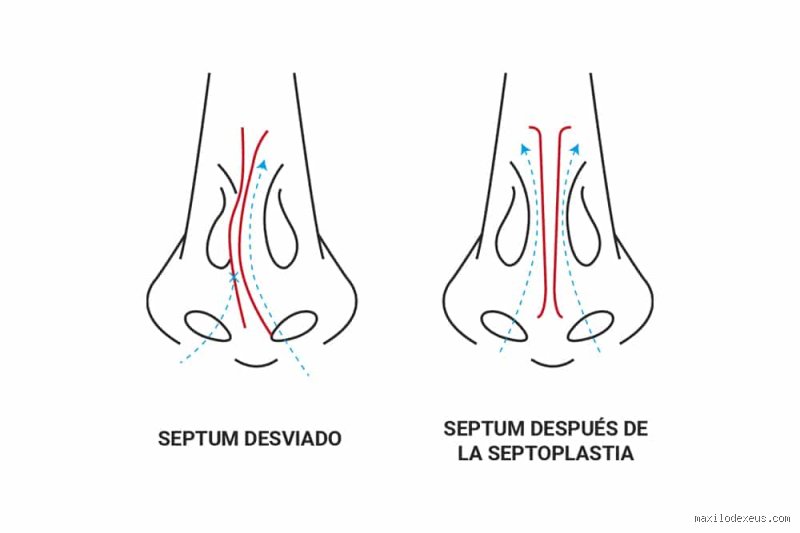 ¿Beneficios de dormir solo respirando por la nariz?