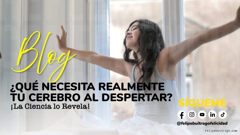 ¿Cómo consigo que mi cerebro despierte?