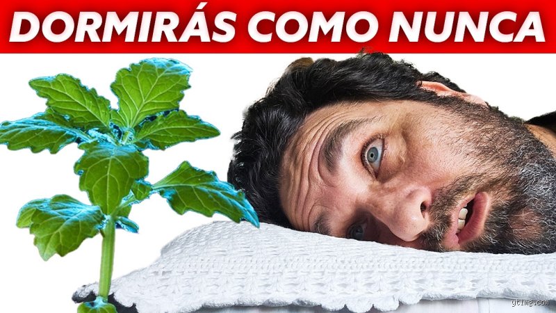 ¿Cuál es la hierba más poderosa para dormir?