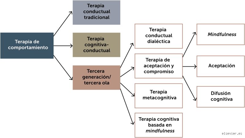 ¿Cuál es la última etapa del insomnio?