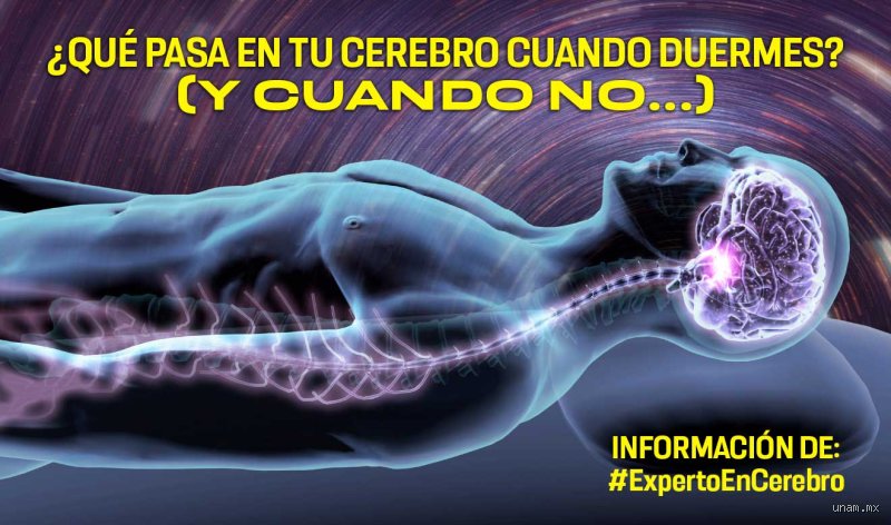 ¿Cuánto es peligroso no dormir?
