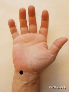 ¿Dónde está el punto para dormir?