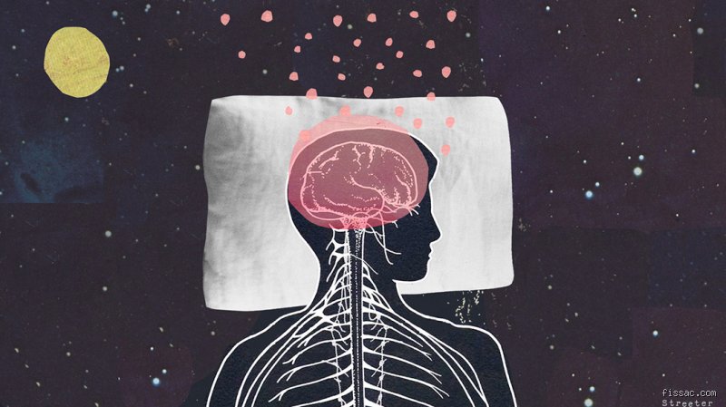 ¿El sueño cura el daño cerebral?