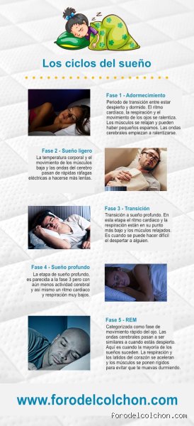 ¿Es mejor despertarse de la fase REM o del sueño profundo?