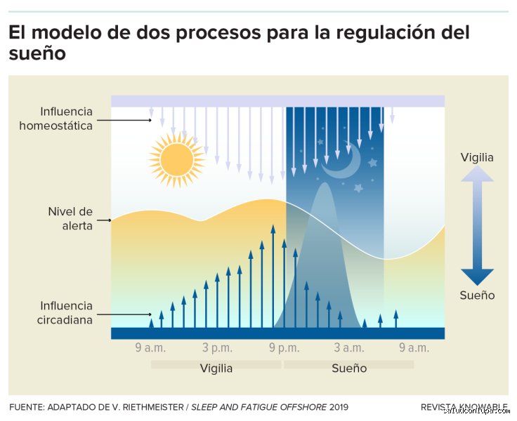¿Puede la gente sobrevivir con solo 4 horas de sueño?