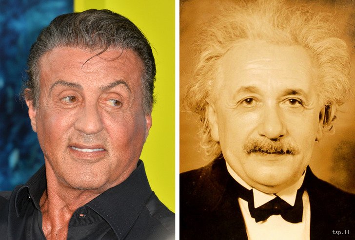 ¿Cuál es el IQ de Sylvester Stallone?