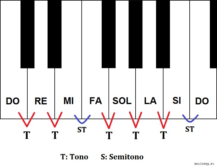 ¿Cómo identificar un tono y un semitono?