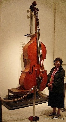 ¿Cuál es el instrumento de cuerda más grande de una orquesta?