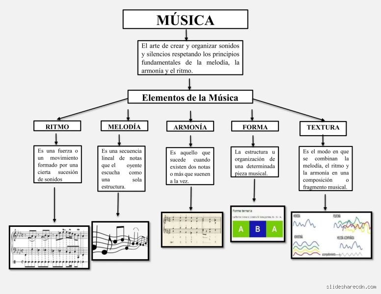 ¿Cuáles son las 4 ramas principales de la musicología?