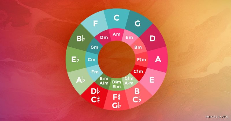 ¿Cuáles son los 7 fundamentos de la música?